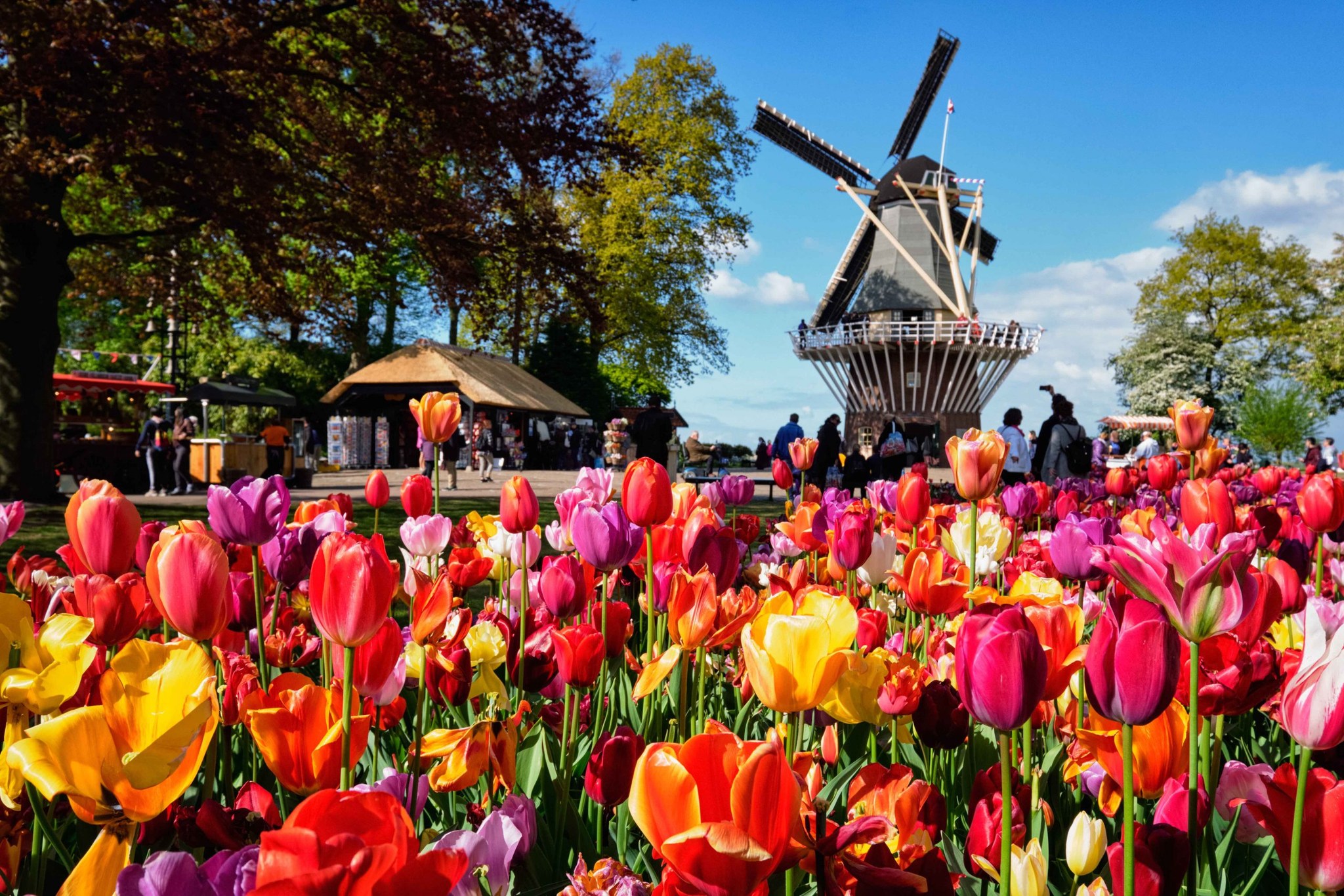 role Liberal - AMSTERDAM e KEUKENHOF