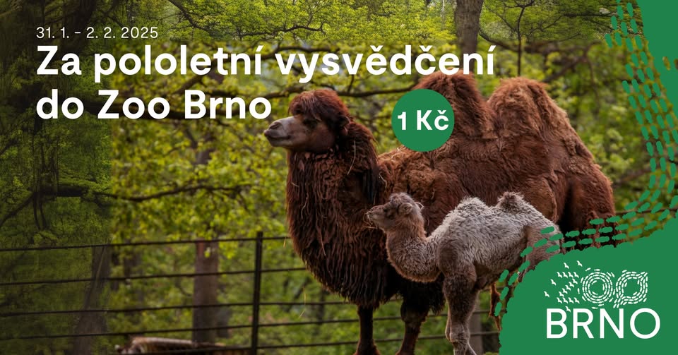 Za pololetní vysvědčení do Zoo Brno