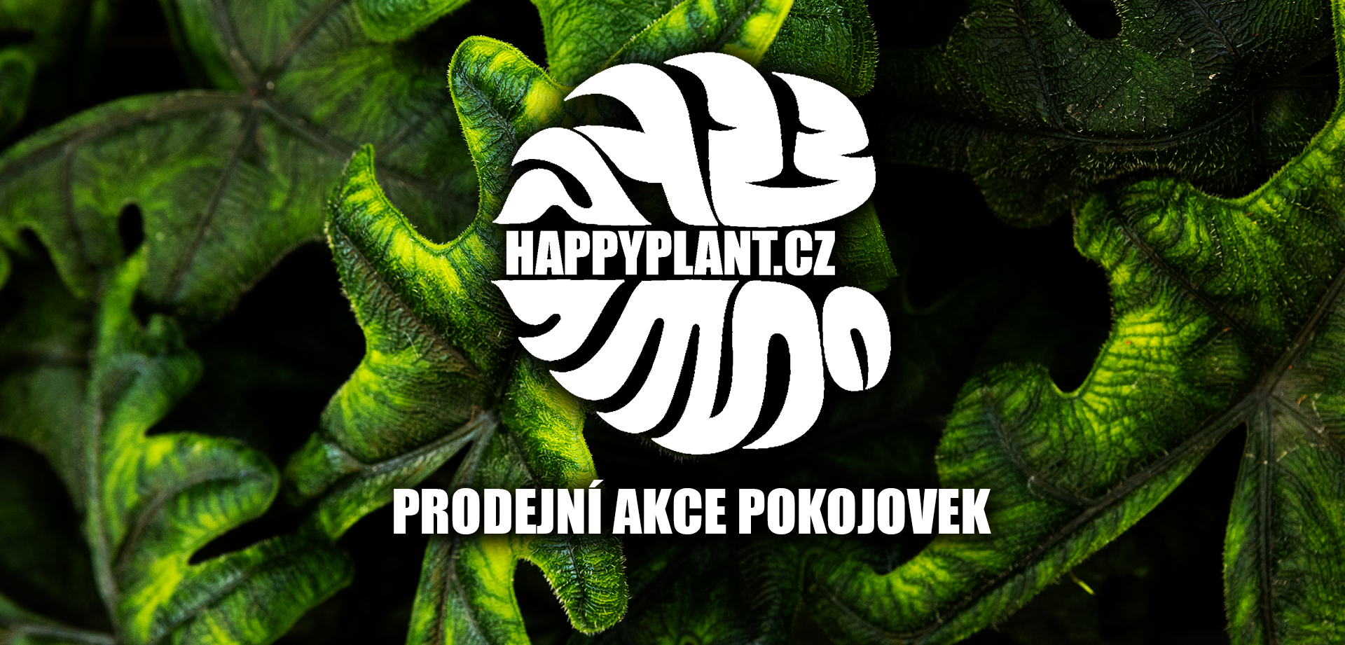 HAPPYPLANT Brno - Prodejní akce pokojových rostlin