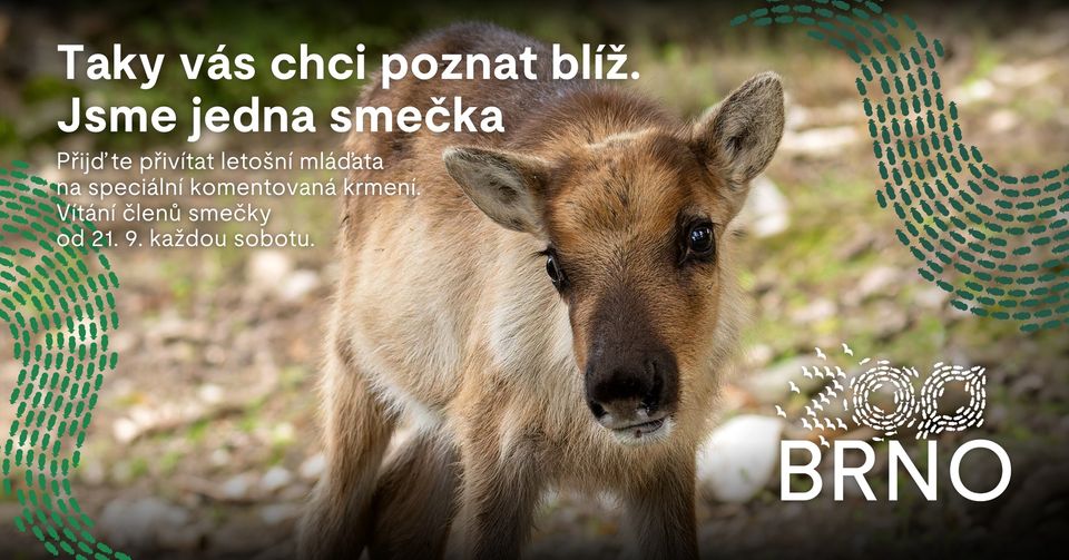 Vítání do smečky