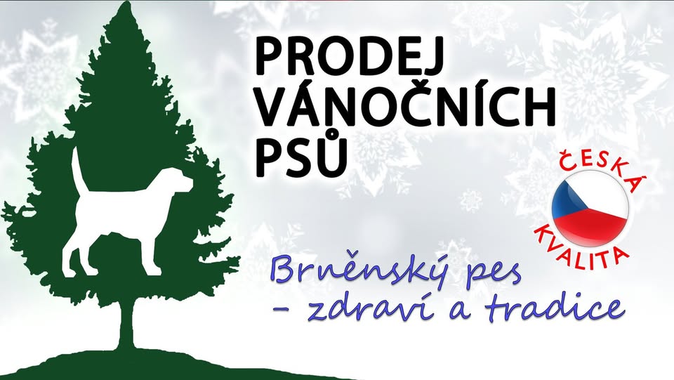 Prodej vánočních psů 2024