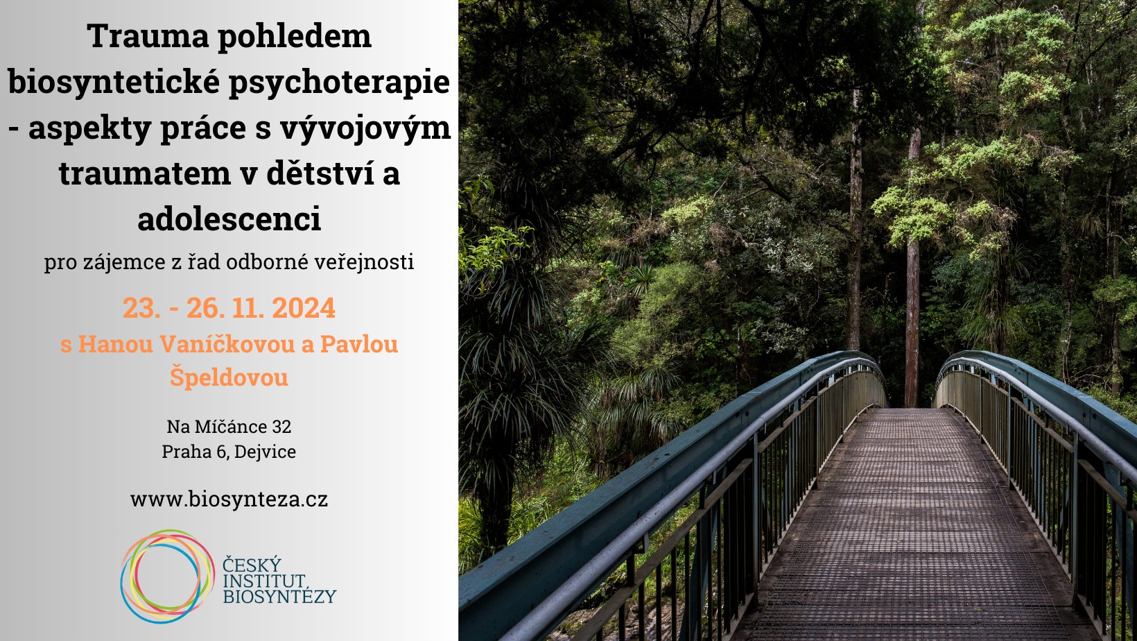 TRAUMA POHLEDEM BIOSYNTÉZY - aspekty práce s vývojovým traumatem v dětství a adolescenci