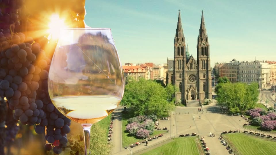 🍇Vinobraní na Grébovce 2025: ⛪ Náměstí Míru