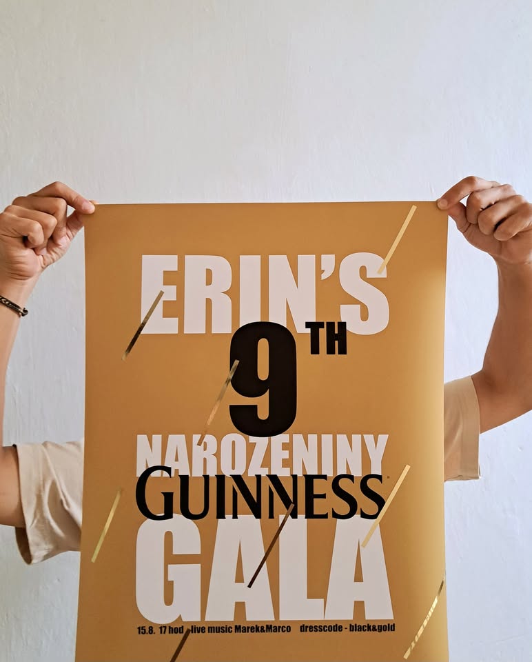 Erin's 9th Birthday Party
