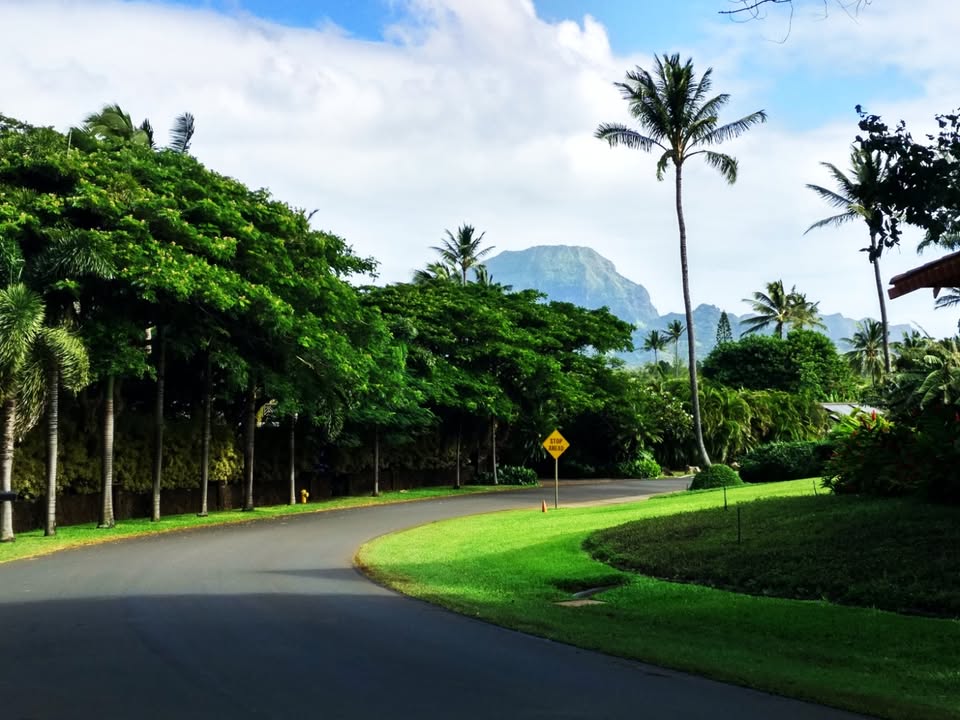 Traveling cinema with mil. An adventure in a paradise called Hawaii. 13.10. at 18:00 admission 4 €