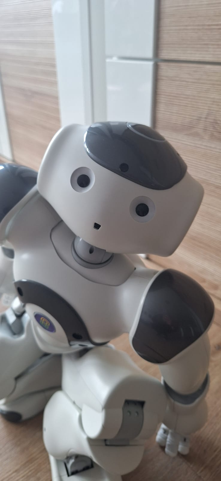 Příměstský tábor s robotem NAO, Praha 7 – programování, které děti nadchne!