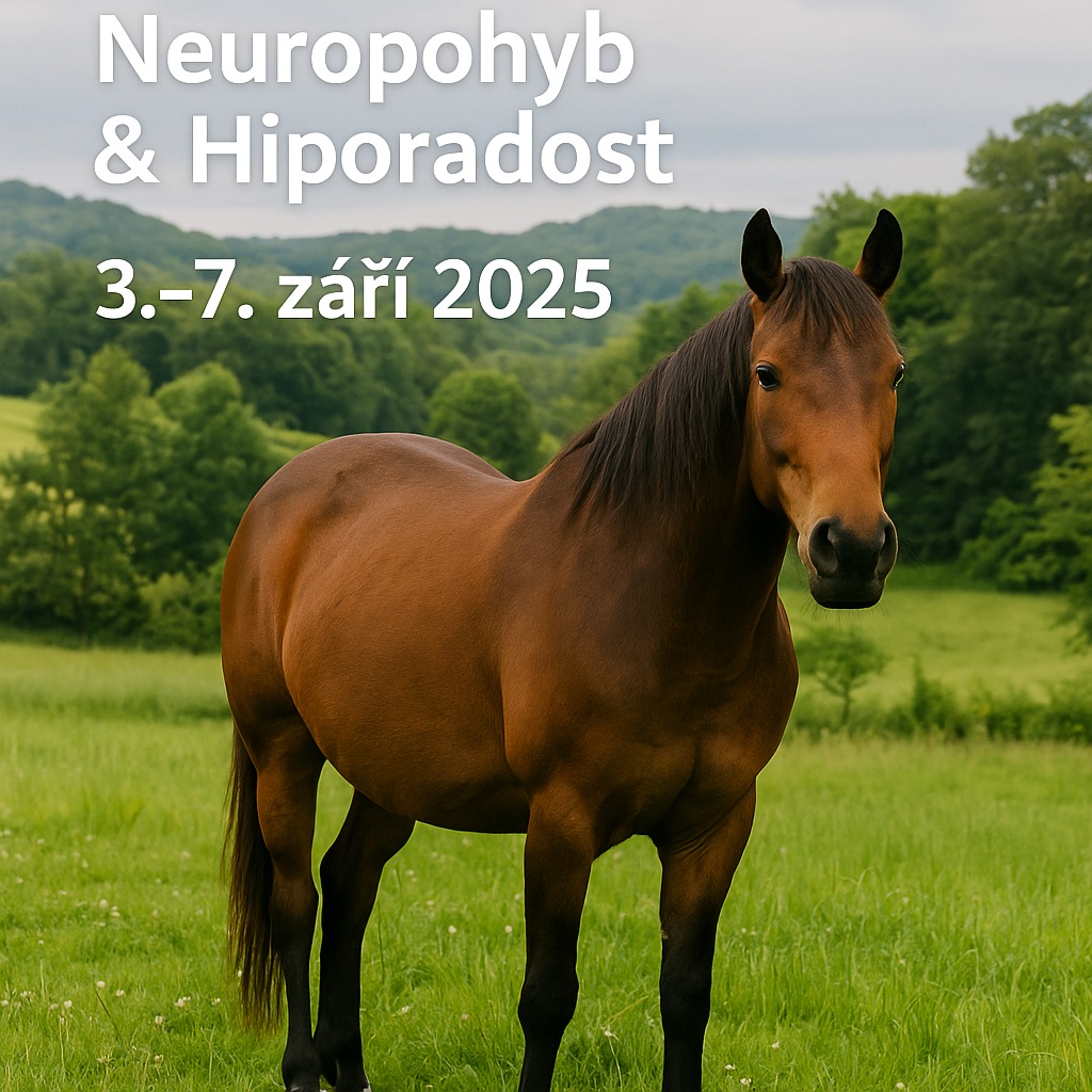 Kombinovaný pobyt: Neuropohyb & Hiporadost | 3.–7. 9. 2025