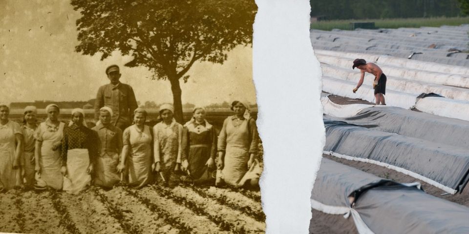 Zwangsarbeit und Arbeitsausbeutung im Nationalsozialismus und heute